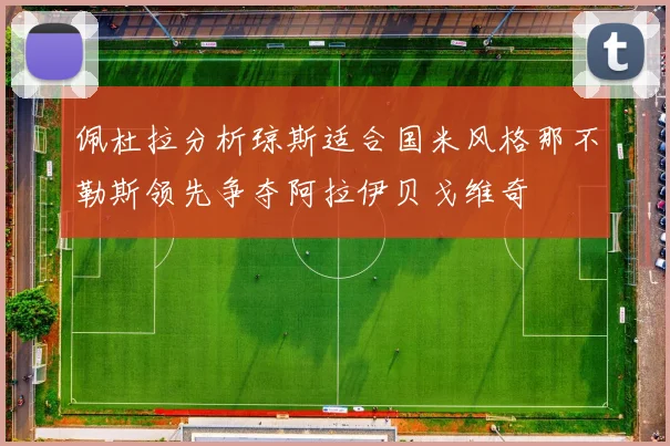 佩杜拉分析琼斯适合国米风格那不勒斯领先争夺阿拉伊贝戈维奇